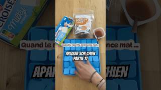 Partie 17 🐾 | quand la recette commence mal… 😅