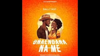 Sally Boy - Utaendana Na Me    Official Audio
