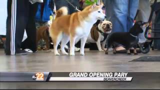 Pet Supplies Plus Celebrates Grand Opening in Beavercreek