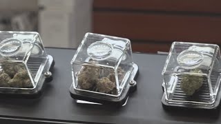 Governor Abbott to issue Executive Order regulating THC