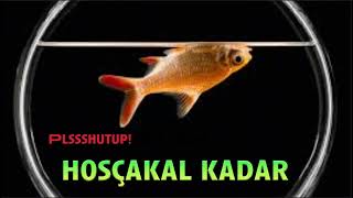 Büyük Ev Ablukada - HOŞÇAKAL KADAR (plssshutup! remix)