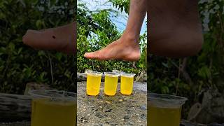 Survival Skills:SMART ideas and Usefulin forest #survival #useful #ideas #smart#shorts#camping