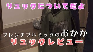 #091 おかかのリュックレビュー【フレンチブルドッグのおかか】