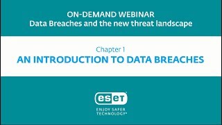 Data Breaches: An Introduction
