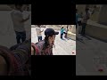 #020 /365 -I chose Jaipur for Still Cinematography #travelvlog #still #cinematography #365 #shorts