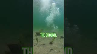 🌋 A Lake That Explodes Without Fire