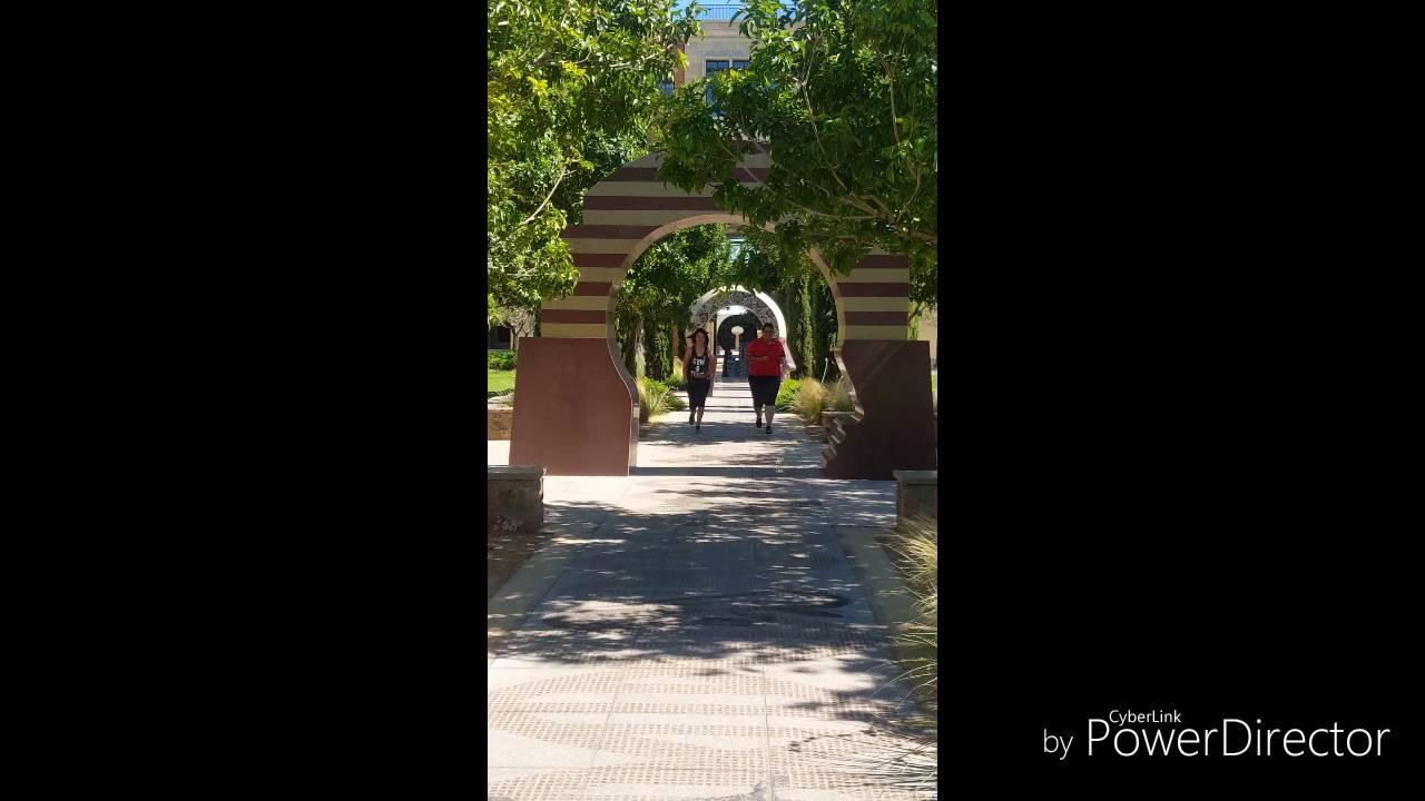 Flovent group 10 GGHSON