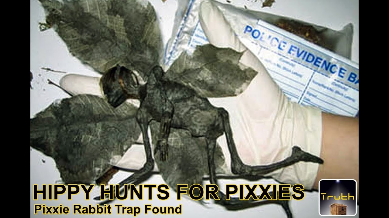 Pixies Rabbit pixie rabbit trap found .PIXIES ARE REAL OLD WOOD - YouTube