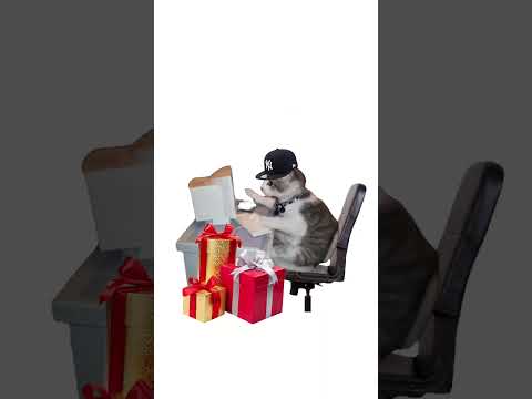 The KittyLixo Leak: A Timeline Of Events
