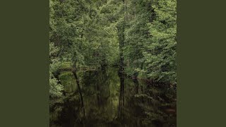 Soft Collapse