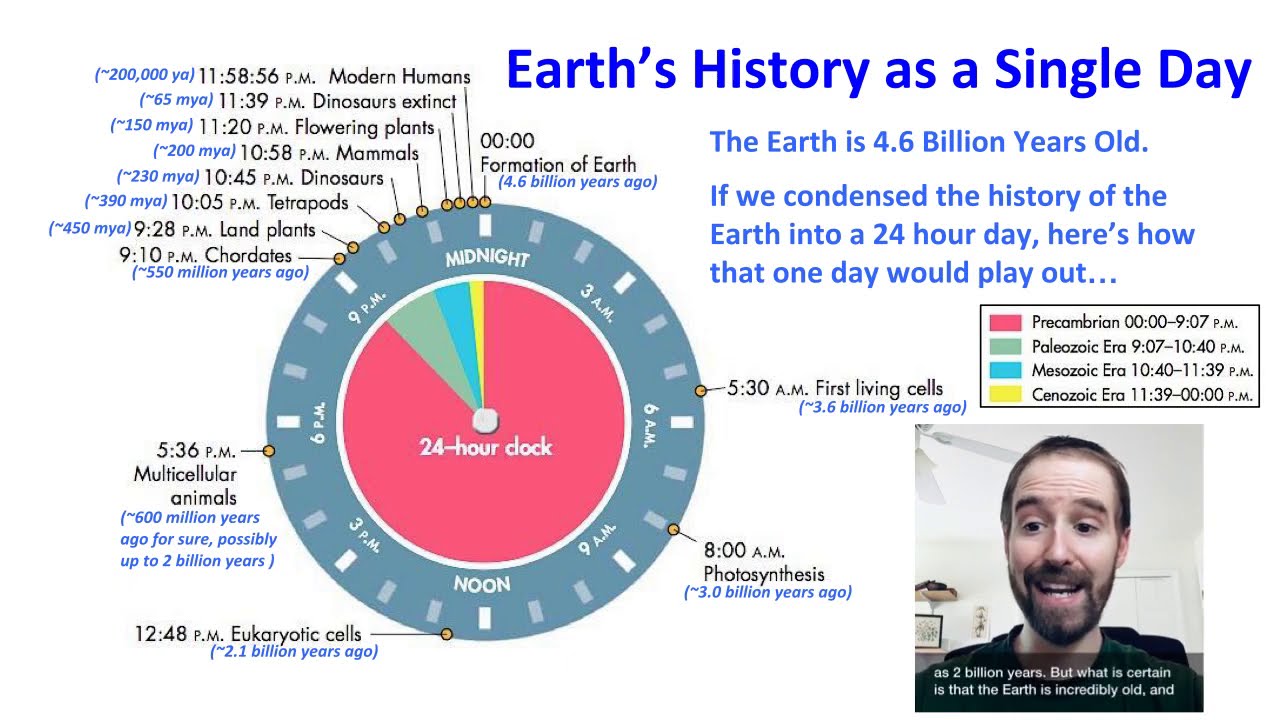 Biology (1-1) Short History of Life on Earth - YouTube