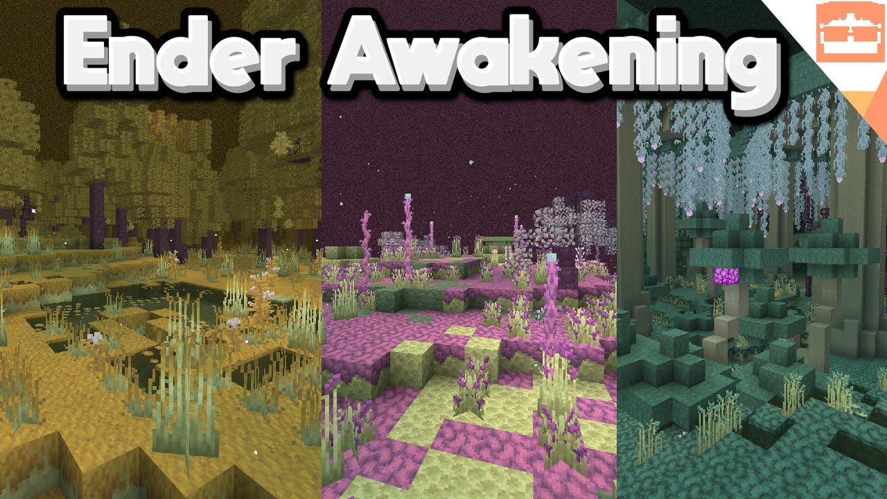 The End Dimension in Minecraft has BEAUTIFUL BIOMES NOW! (Better