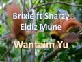 Brixie ft sharzy eldiz mune  wantaim yu