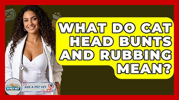 What Do Cat Head Bunts And Rubbing Mean? - Ask A Pet Vet