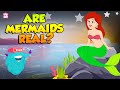 Are Mermaids Real? | Story of Mermaids | The Truth Behind the Mermaid Myth | The Dr. Binocs Show