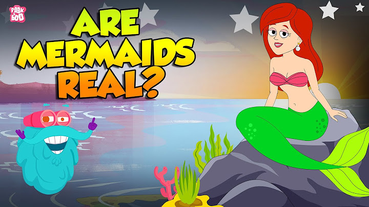 Are Mermaids Real? | Story of Mermaids | The Truth Behind the Mermaid Myth | The Dr. Binocs Show