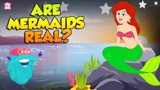 Are Mermaids Real? | Story of Mermaids | The Truth Behind the Mermaid Myth | The Dr. Binocs Show Resimi