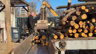 The Operator Who Processes Wood Like a Machine