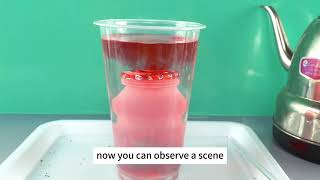 🌋 Fountains of Fire: Simulating an Undersea Volcano Eruption!