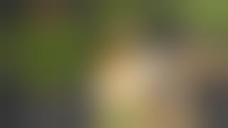 Download lagu NDZ Slide Racker Plate - Smith & Wesson Shield Plus - Easy Racking