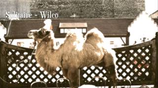 Solitaire - Wilco (lyrics in description)