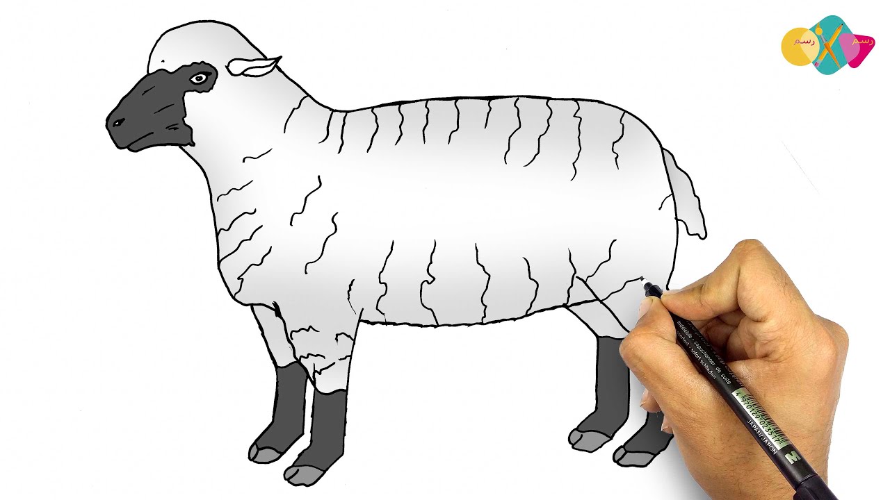 رسم خروف العيد