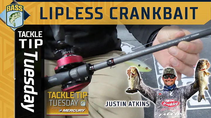 Justin Atkins' entire lipless crankbait setup for winter bass fishing
