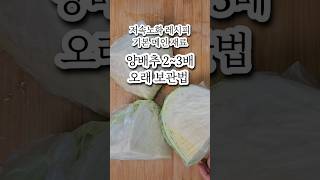 정희원 교수님의 저속노화 레시피 기본 메인 재료 양배추 오래 보관하는 법, 평소보다 2~3배 더 오래 먹을 수 있어요 #저속노화 #저속노화레시피 #양배추보관