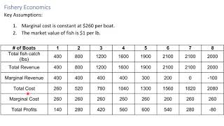 Ch 4 Part 4: Efficient Allocation | ECON 22 - Environmental Economics