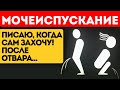 Доктор выписал дорогие лекарства! Но я взял обычный отвар из...