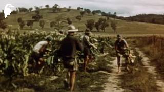 Tenterfield and the New England Tablelands (1961)