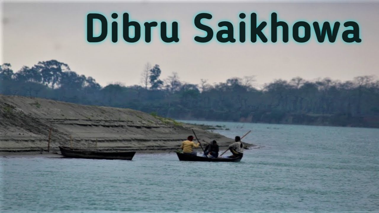 Dibru Saikhowa || Guijan Ghat || Karmi Village