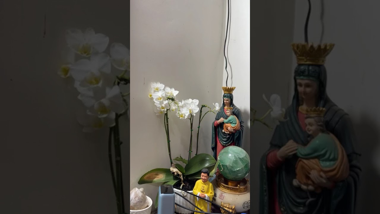 BIẾN CỐ HIỂN DUNG -  CUỐI CÙNG TA SỐNG ĐỂ LÀM GÌ? – Lm. Anmai, CSsR