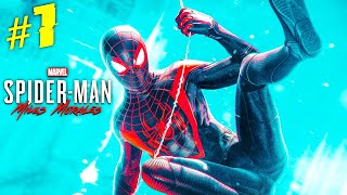 Знакомьтесь Новый Человек паук Майлз Моралес – SpiderMan: Miles Morales #1