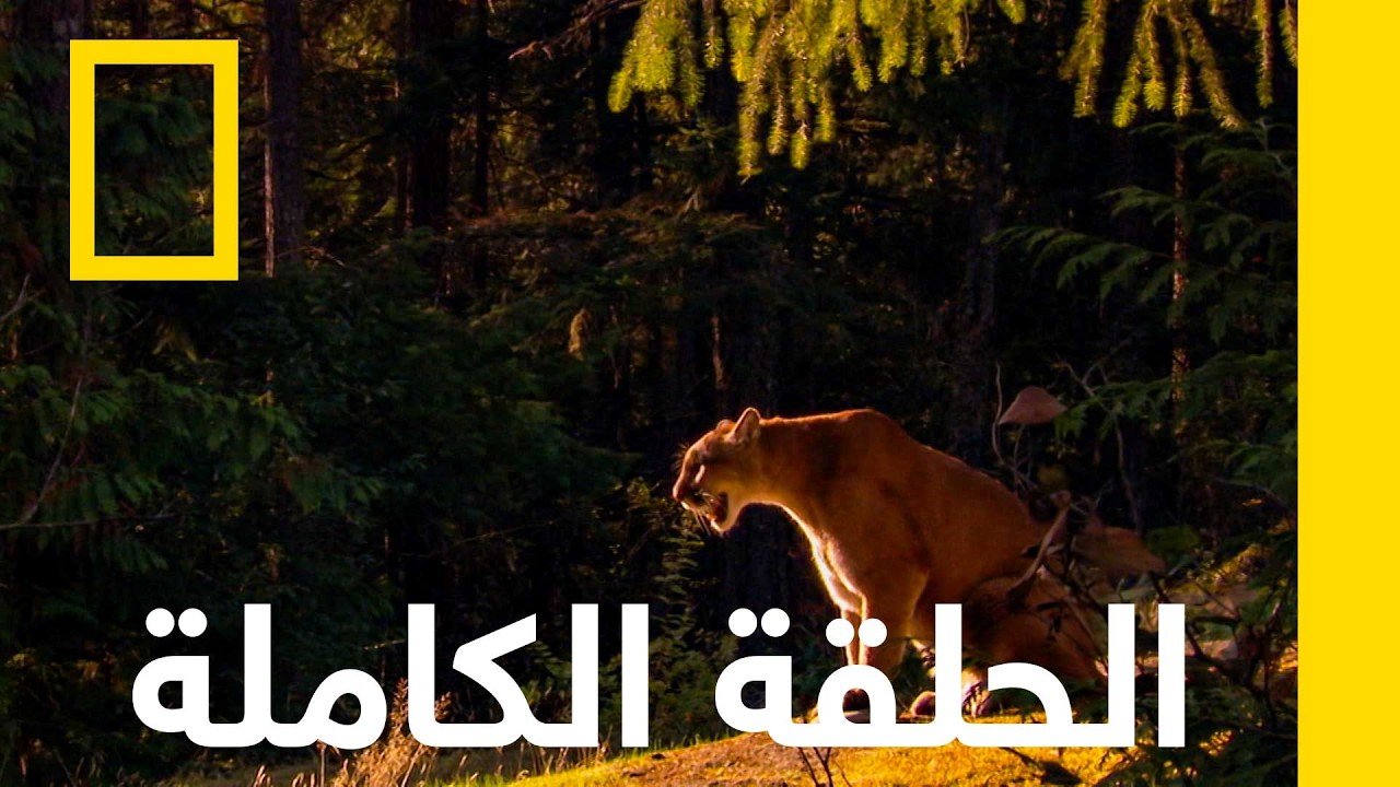 ����� | ������ �� ������� | ������� ��������� ������
 - نشر قبل 16 دقيقة