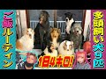 【犬9匹‼︎】多頭飼いごはんルーティン‼︎