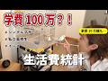 【収支公開】生活費計算したら毎月赤字だった/私立高校/ドラスト購入品/シングルマザー