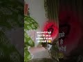 अकेले रहो खुश रहोगे 😇 ###song
