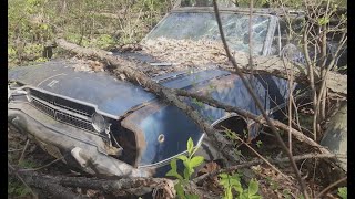 NEW EPISODE: FAMILY HEIRLOOM FOUND IN THE WOODS! GTS CONVERT!