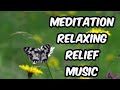 Butterfly perched on flowers  meditation relaxing relief music lights  bcm bk create music