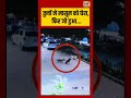 Viral Video | कुत्तों ने मासूम को घेरा, फिर जो हुआ | #viralvideo #viralnews #shorts