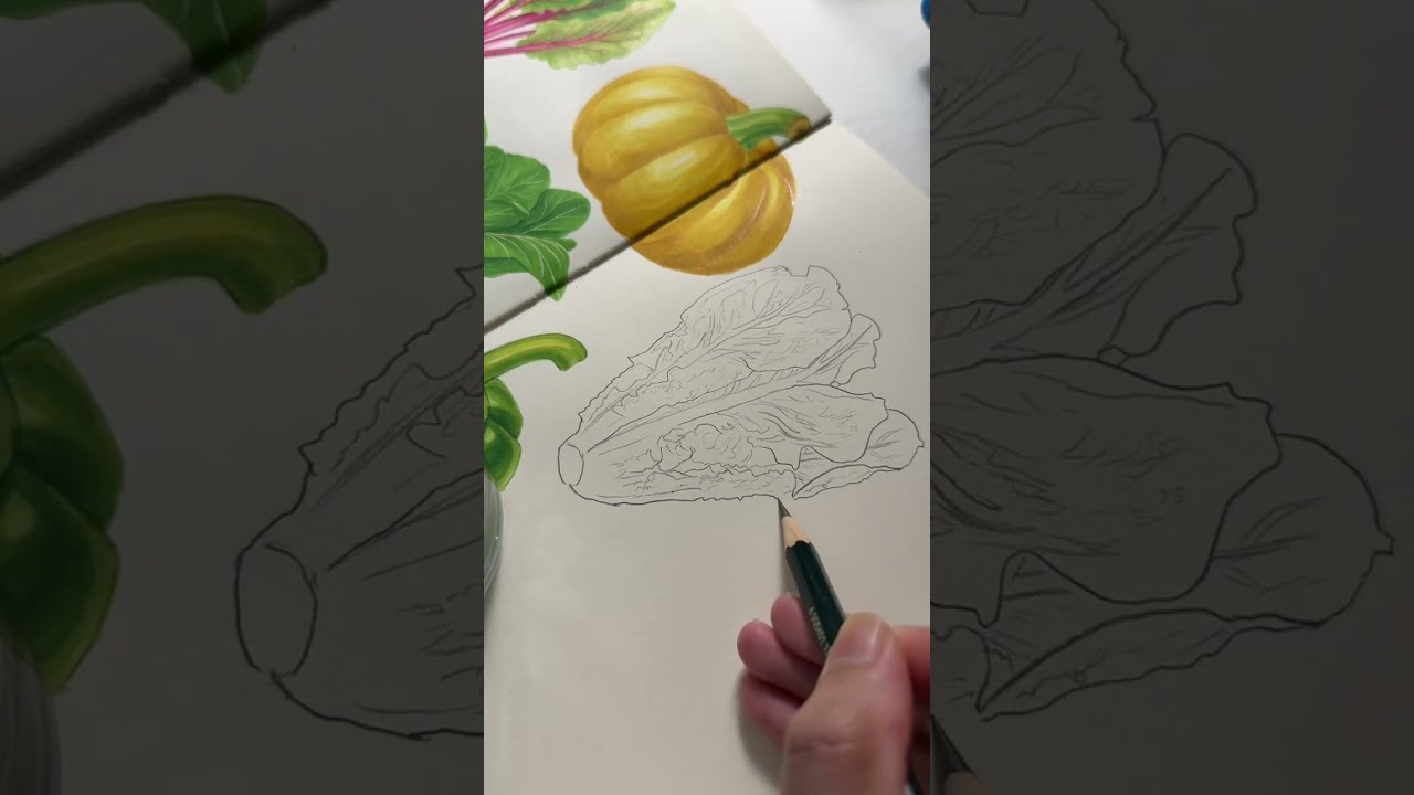 Why Is It So Hard To Color This Leaf Ardrawing Sketchbook