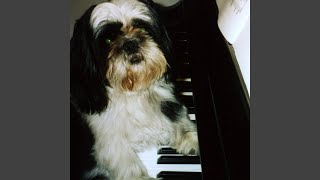 Beethoven Alarm Clock - Ringtone screenshot 3