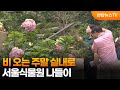 비 오는 주말 실내로…서울식물원 나들이 / 연합뉴스TV (YonhapnewsTV)
