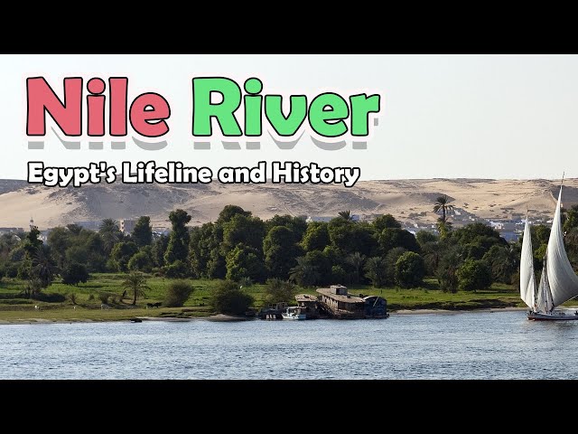 3,800-year-old Egyptian mummy discovered along Nile River | World News -  Hindustan Times