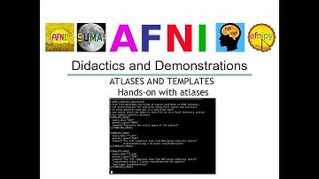 [AFNI Academy] Atlases and Templates - hands-on with atlases