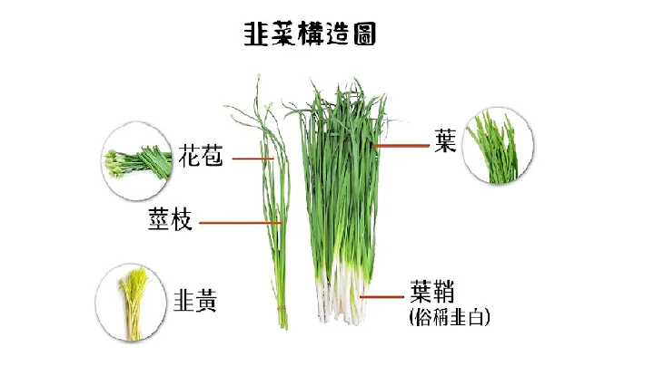 20240322 解大盘、晶豪科、有人敲碗：【华新、为升、和硕、燿华、华晶科】。 - 天天要闻