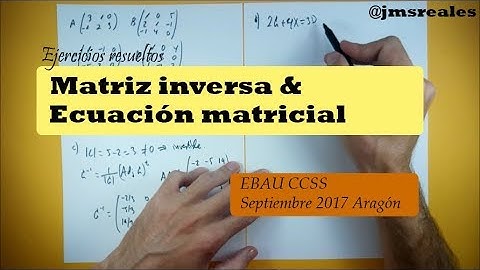 Matriz inversa y ecuación matricial. Ejercicio resuelto (selectividad)