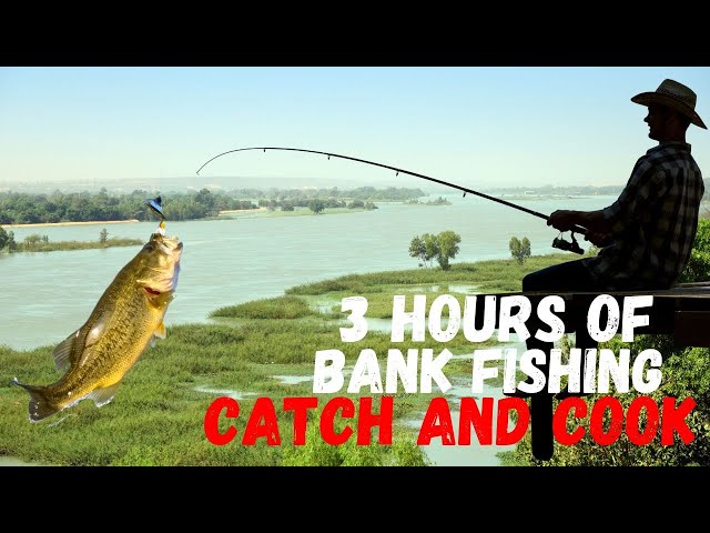 OVER 3 HOURS of BANK FISHING (Catch and Cook) 