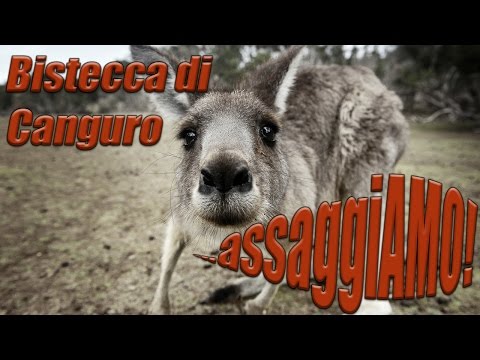 Bistecca di canguro 🥩 - #assaggiAMO!